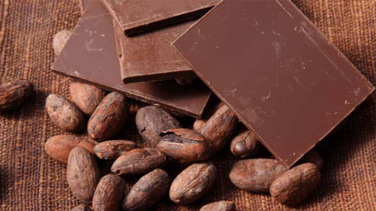 cacao9 1 768x432